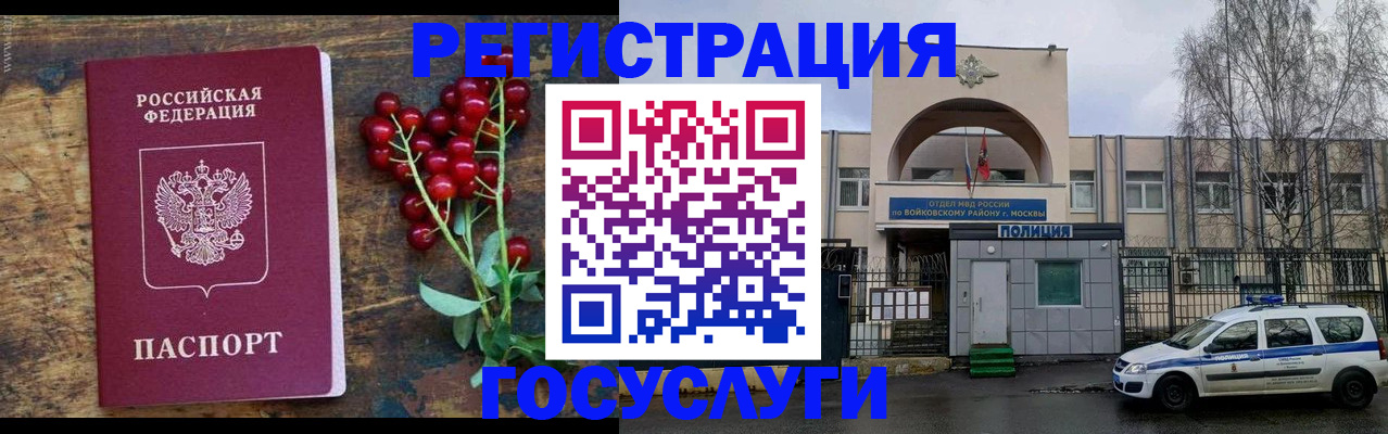 прописка 2025 в Купино